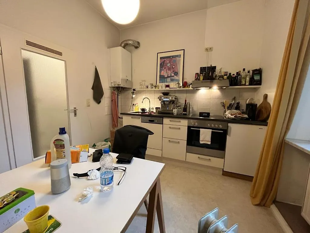 Grosse Wohnung In Der Isarvorstadt Munich